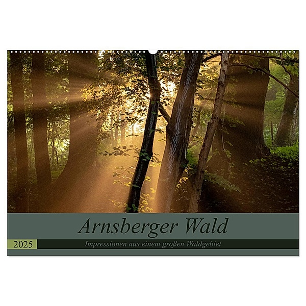 Arnsberger Wald (Wandkalender 2025 DIN A2 quer), CALVENDO Monatskalender, Calvendo, Dr. Franz Josef Hering