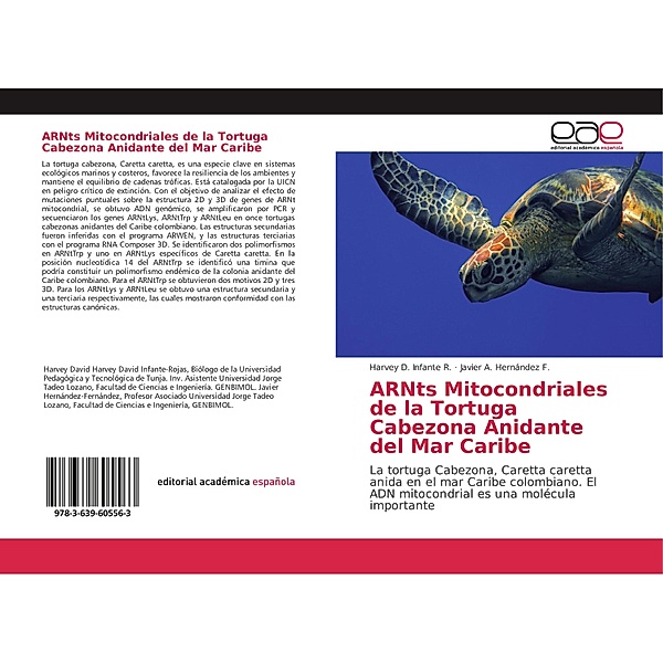 ARNts Mitocondriales de la Tortuga Cabezona Anidante del Mar Caribe, Harvey D. Infante R., Javier A. Hernández F.