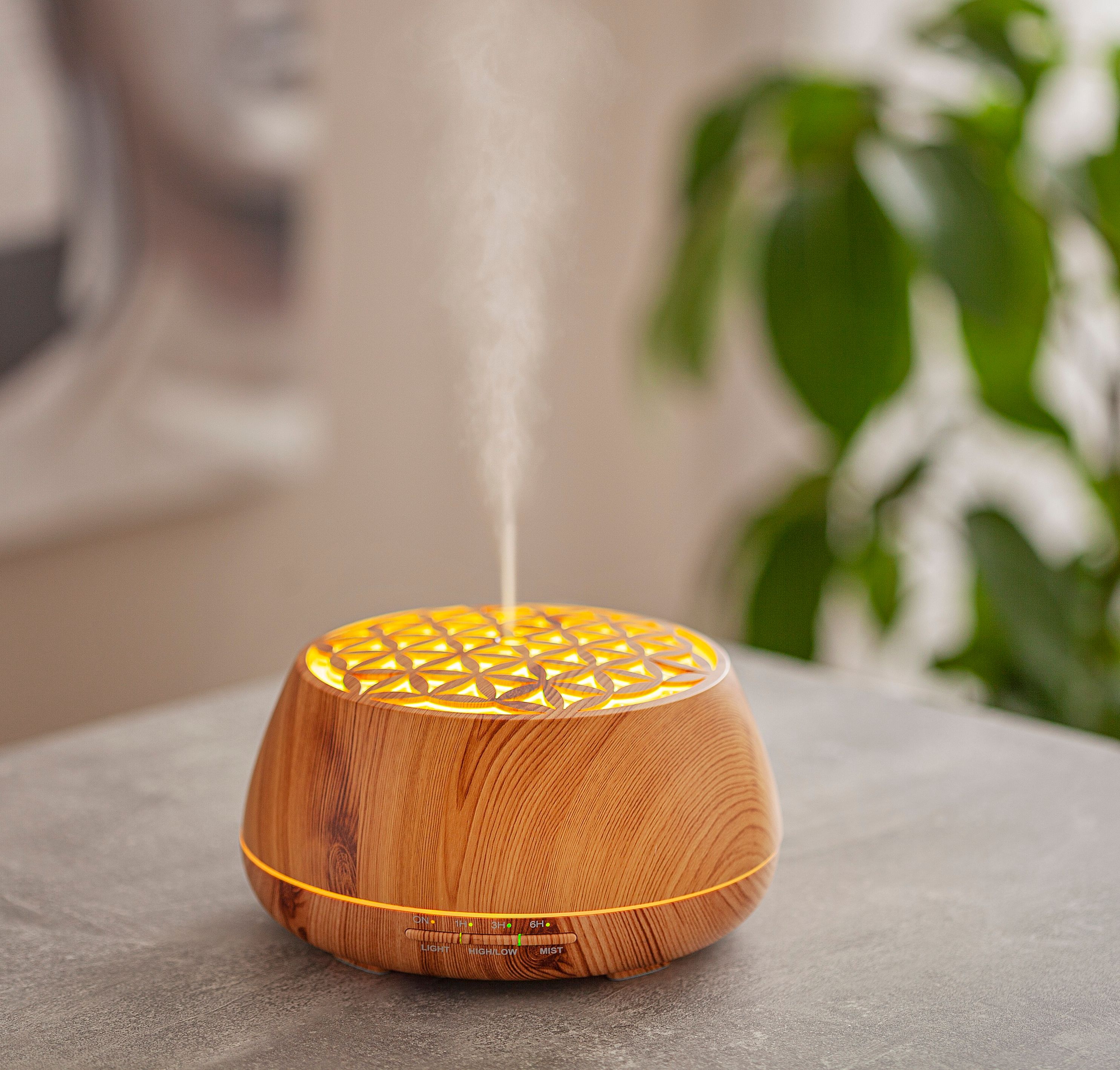 Aroma Diffuser Kette Blume des Lebens 25mm