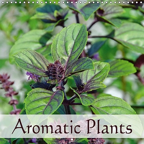 Aromatic Plants (Wall Calendar 2017 300 × 300 mm Square), LianeM