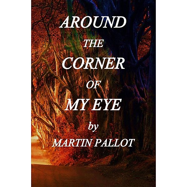 Around the Corner of my Eye, Martin Pallot
