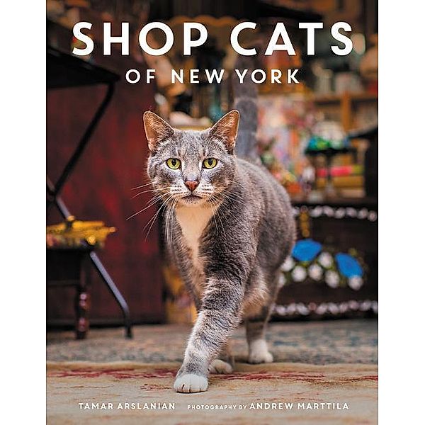 Arslanian, T: Shop Cats of New York, Tamar Arslanian