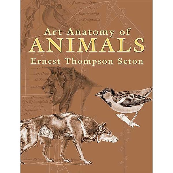Art Anatomy of Animals / Dover Anatomy for Artists, Ernest Thompson Seton