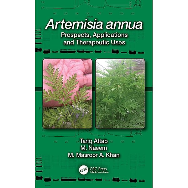 Artemisia annua