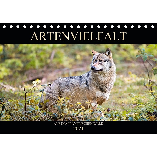 ARTENVIELFALT aus dem Bayerischen Wald (Tischkalender 2021 DIN A5 quer), Christian Haidl