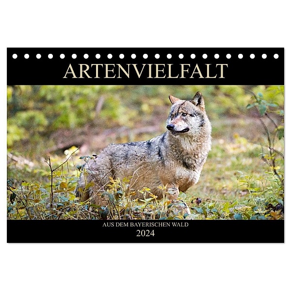 ARTENVIELFALT aus dem Bayerischen Wald (Tischkalender 2024 DIN A5 quer), CALVENDO Monatskalender, Christian Haidl