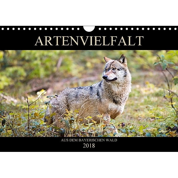 ARTENVIELFALT aus dem Bayerischen Wald (Wandkalender 2018 DIN A4 quer), Christian Haidl