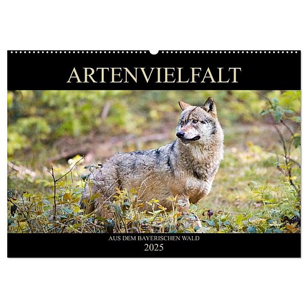 ARTENVIELFALT aus dem Bayerischen Wald (Wandkalender 2025 DIN A2 quer), CALVENDO Monatskalender, Calvendo, Christian Haidl