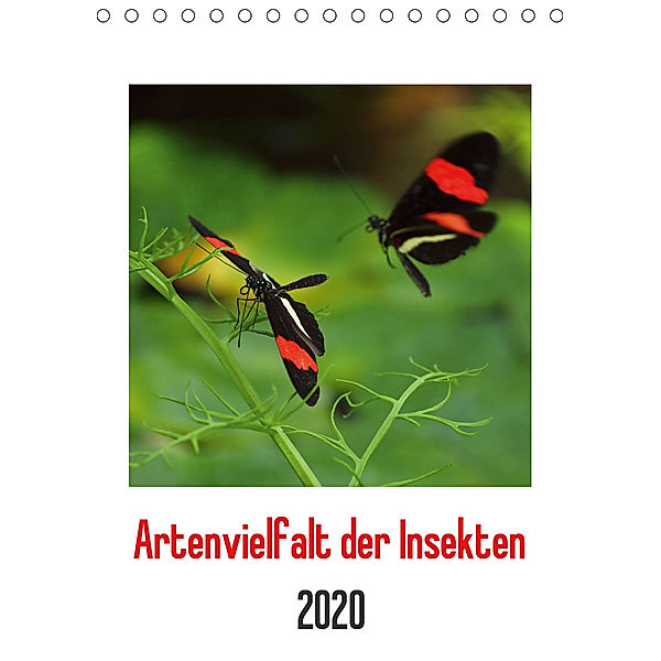 Artenvielfalt der Insekten (Tischkalender 2020 DIN A5 hoch), Dagmar Laimgruber