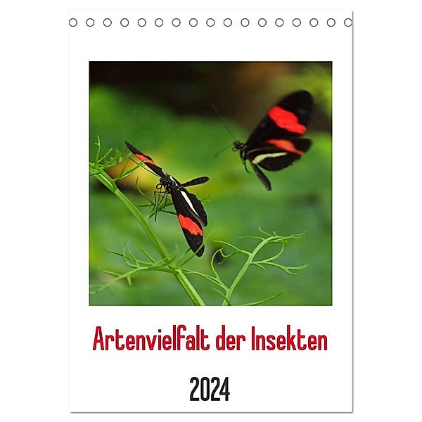 Artenvielfalt der Insekten (Tischkalender 2024 DIN A5 hoch), CALVENDO Monatskalender, Dagmar Laimgruber