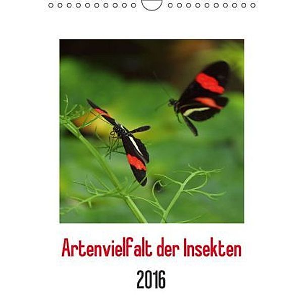 Artenvielfalt der Insekten (Wandkalender 2016 DIN A4 hoch), Dagmar Laimgruber