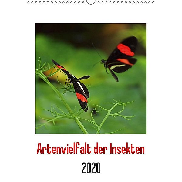 Artenvielfalt der Insekten (Wandkalender 2020 DIN A3 hoch), Dagmar Laimgruber