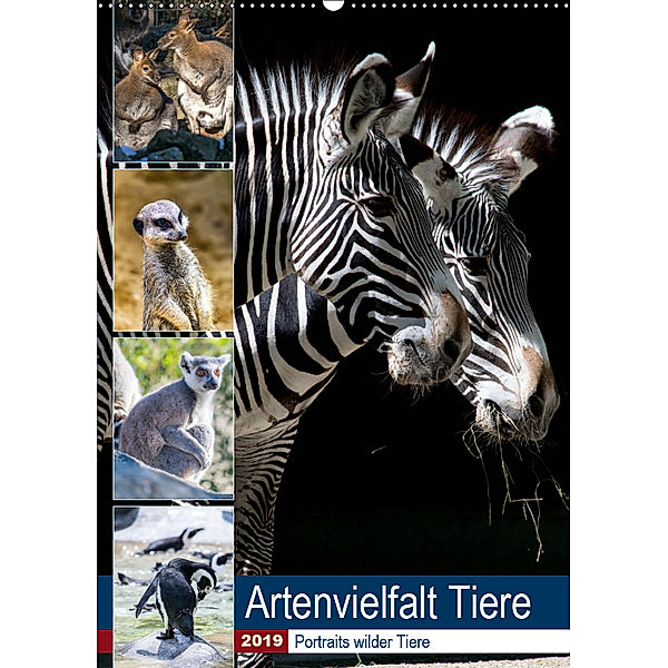 Artenvielfalt Tiere (Wandkalender 2019 DIN A2 hoch), Karin Sigwarth