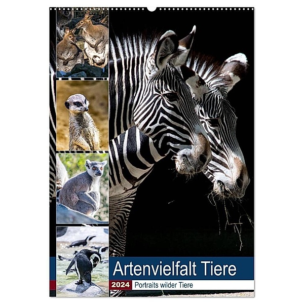 Artenvielfalt Tiere (Wandkalender 2024 DIN A2 hoch), CALVENDO Monatskalender, Karin Sigwarth