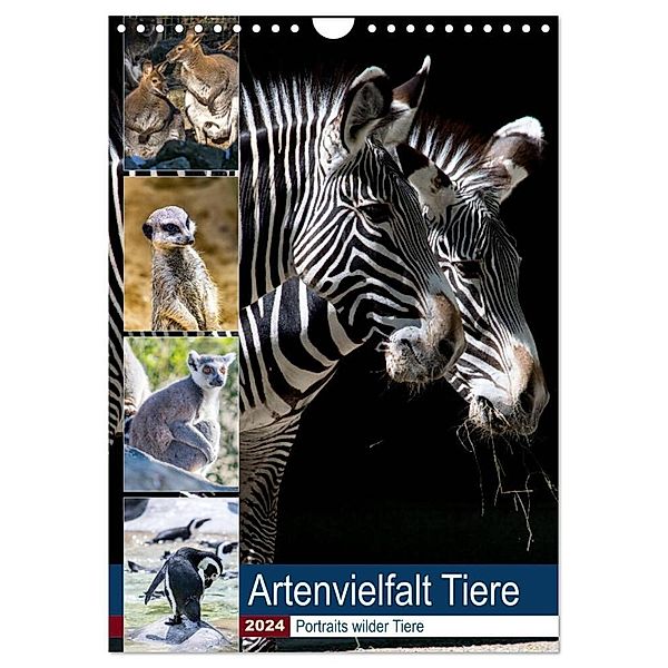 Artenvielfalt Tiere (Wandkalender 2024 DIN A4 hoch), CALVENDO Monatskalender, Karin Sigwarth