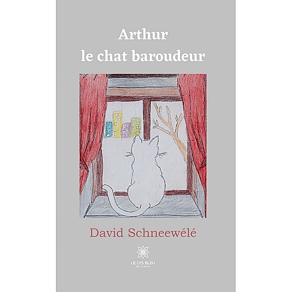 Arthur le chat baroudeur, David Schneewélé