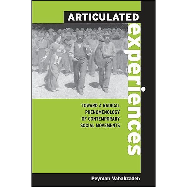 Articulated Experiences / SUNY series in the Philosophy of the Social Sciences, Peyman Vahabzadeh