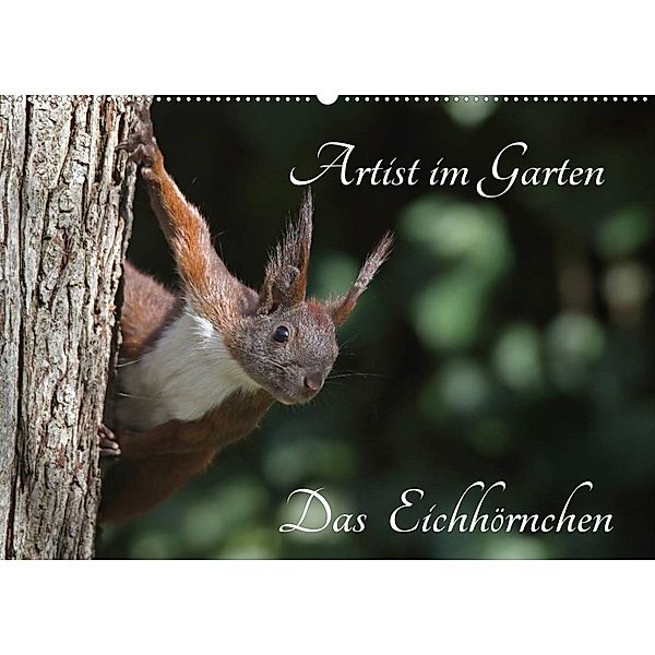 Artist im Garten. Das Eichhörnchen (Wandkalender 2023 DIN A2 quer), Klaus Konieczka