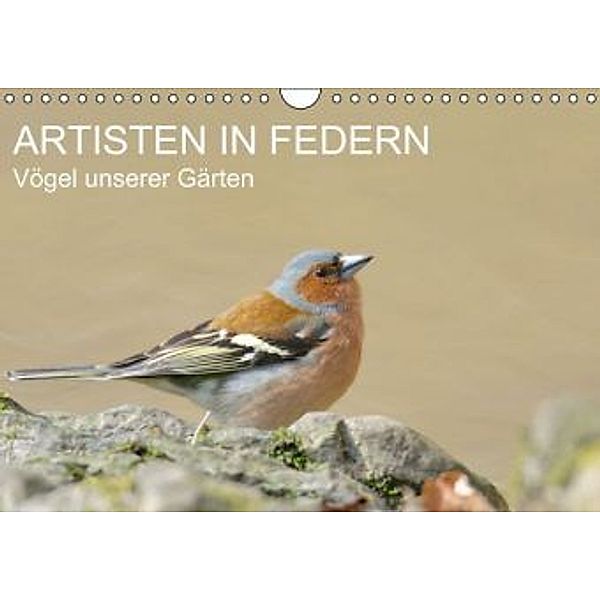 Artisten in Federn - Vögel unserer Gärten (Wandkalender 2015 DIN A4 quer), Alexander Krebs