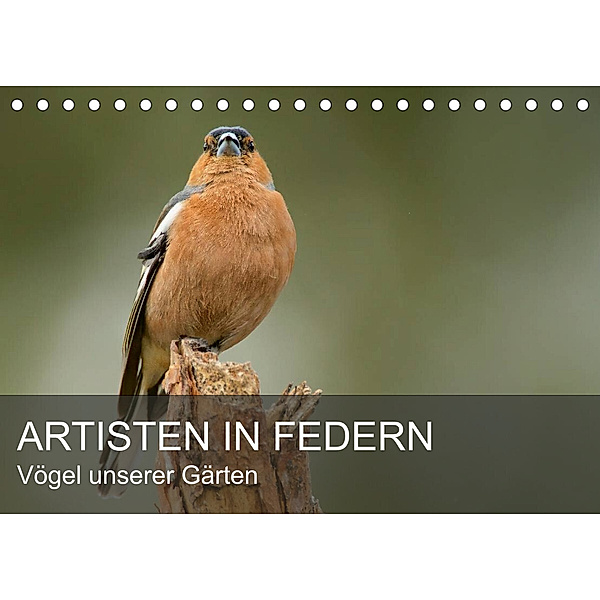 Artisten in Federn - Vögel unserer Gärten (Tischkalender 2023 DIN A5 quer), Alexander Krebs