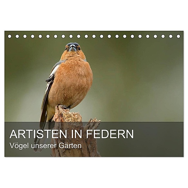 Artisten in Federn - Vögel unserer Gärten (Tischkalender 2024 DIN A5 quer), CALVENDO Monatskalender, Alexander Krebs