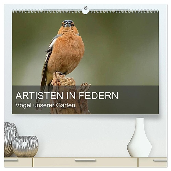 Artisten in Federn - Vögel unserer Gärten (hochwertiger Premium Wandkalender 2024 DIN A2 quer), Kunstdruck in Hochglanz, Alexander Krebs