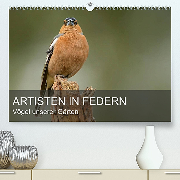 Artisten in Federn - Vögel unserer Gärten (Premium, hochwertiger DIN A2 Wandkalender 2023, Kunstdruck in Hochglanz), Alexander Krebs