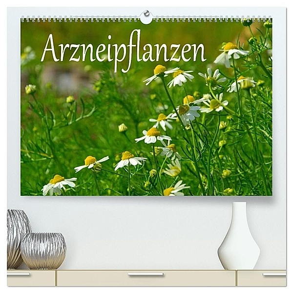 Arzneipflanzen (hochwertiger Premium Wandkalender 2024 DIN A2 quer), Kunstdruck in Hochglanz, LianeM