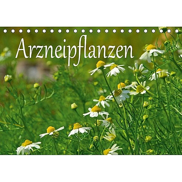 Arzneipflanzen (Tischkalender 2021 DIN A5 quer), LianeM