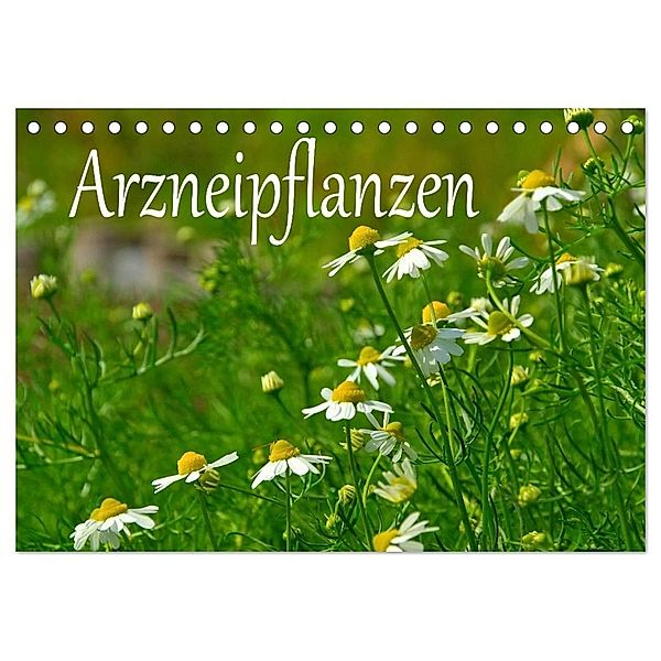 Arzneipflanzen (Tischkalender 2024 DIN A5 quer), CALVENDO Monatskalender, LianeM