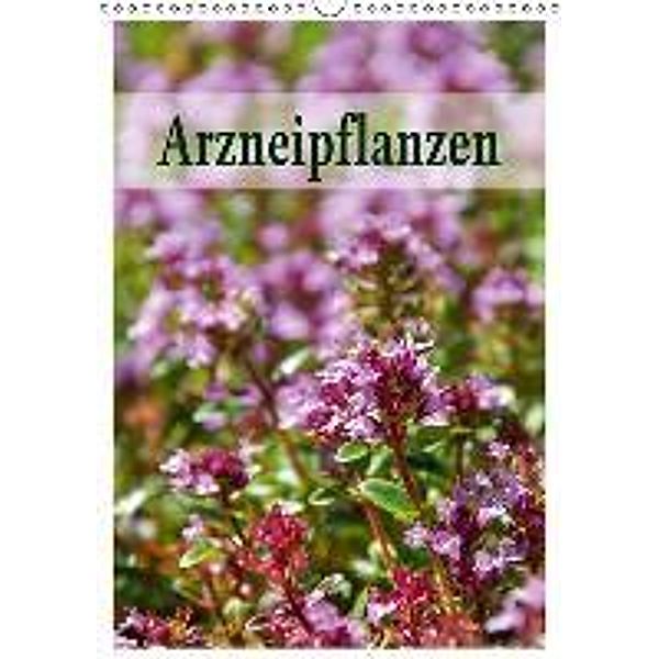 Arzneipflanzen (Wandkalender 2015 DIN A3 hoch), LianeM