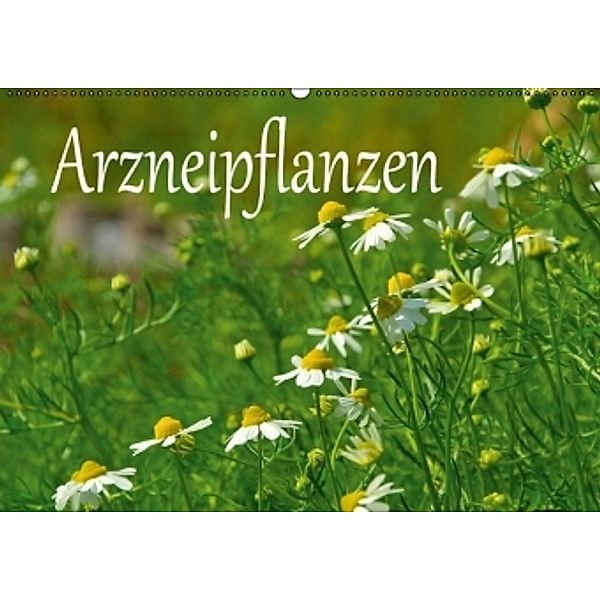 Arzneipflanzen (Wandkalender 2016 DIN A2 quer), LianeM