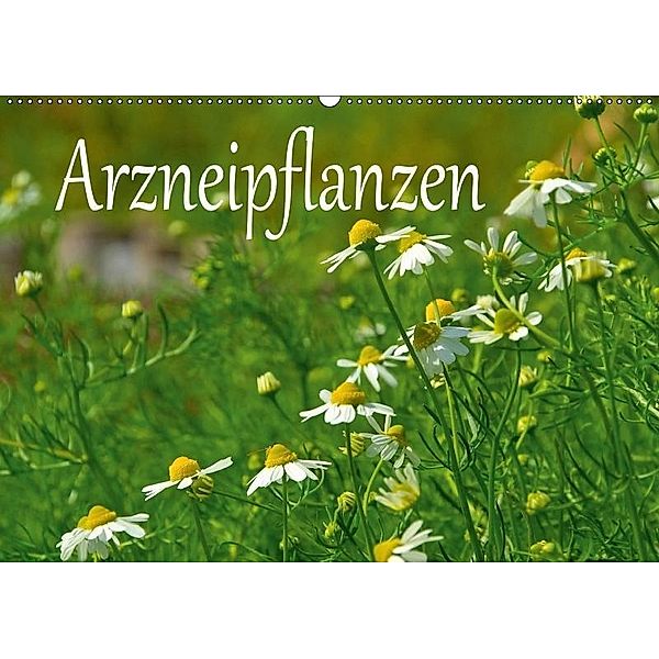 Arzneipflanzen (Wandkalender 2017 DIN A2 quer), LianeM