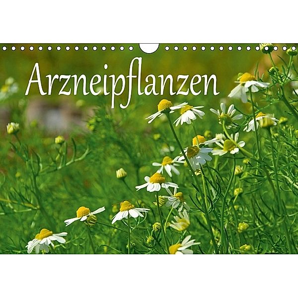 Arzneipflanzen (Wandkalender 2018 DIN A4 quer), LianeM