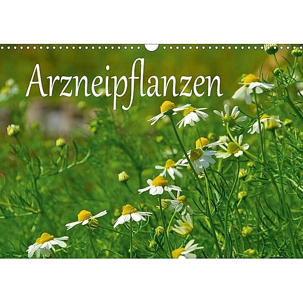 Arzneipflanzen (Wandkalender 2020 DIN A3 quer)