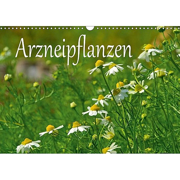Arzneipflanzen (Wandkalender 2021 DIN A3 quer), LianeM