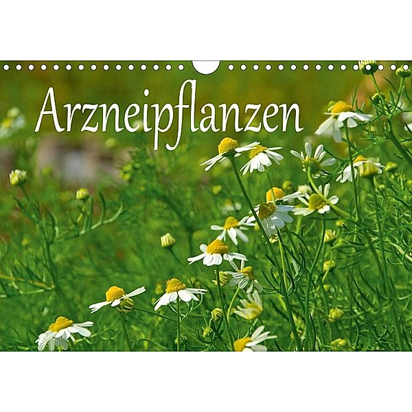 Arzneipflanzen (Wandkalender 2021 DIN A4 quer), LianeM