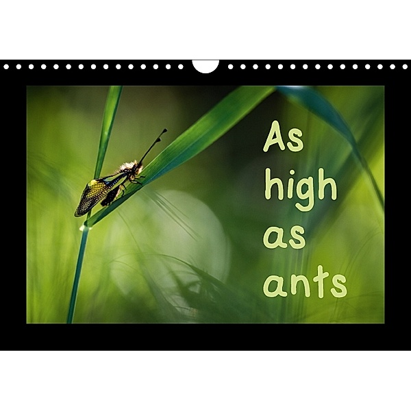 As high as ants (Wall Calendar 2018 DIN A4 Landscape), Guilhem Manzano