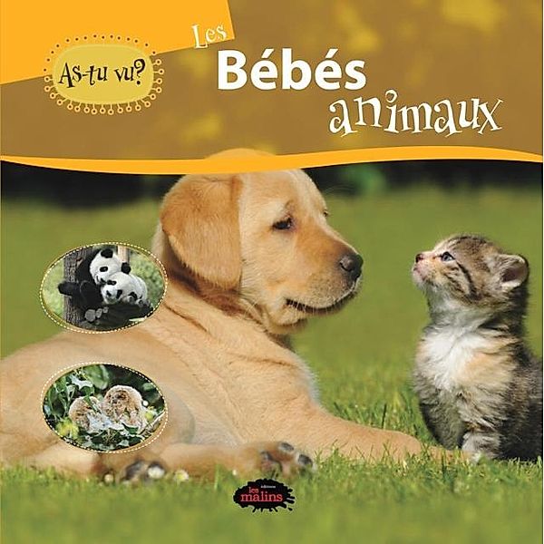 As-tu vu? les bebes animaux, Julien Cleon