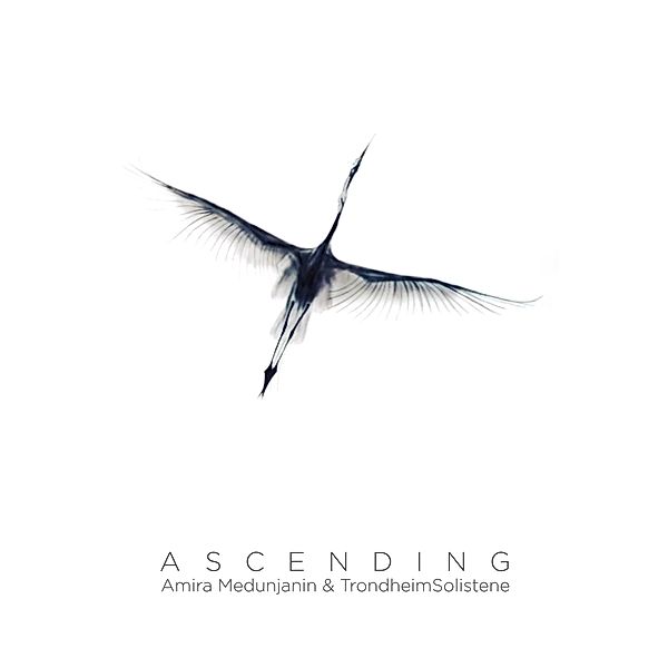 Ascending, Amira Medunjanin, Trondheim Solistene