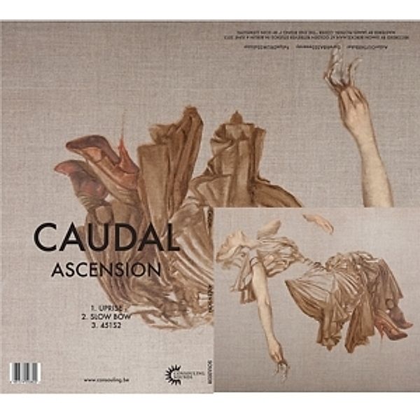 Ascension, Caudal