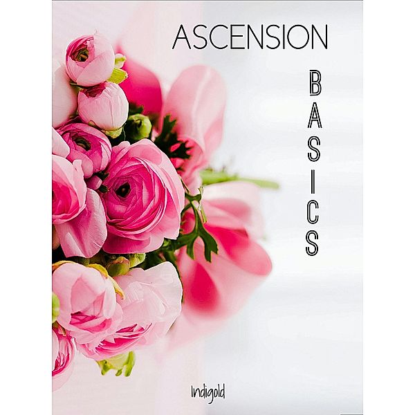 Ascension Basics / ASCENSION, Indigold