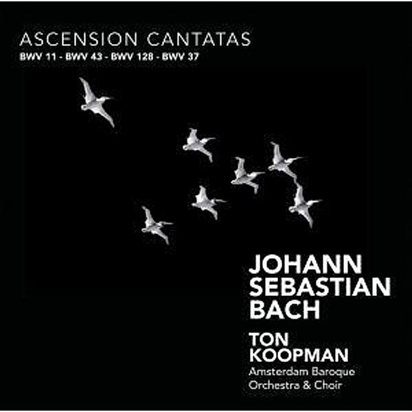 Ascension Cantatas, Ton Koopman, Amsterdam Baroque Orchestra & Choir
