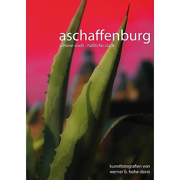 Aschaffenburg, Werner Hohe-Dorst