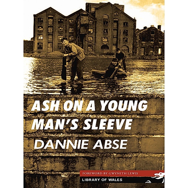Ash On a Young Man's Sleeve, Dannie Abse