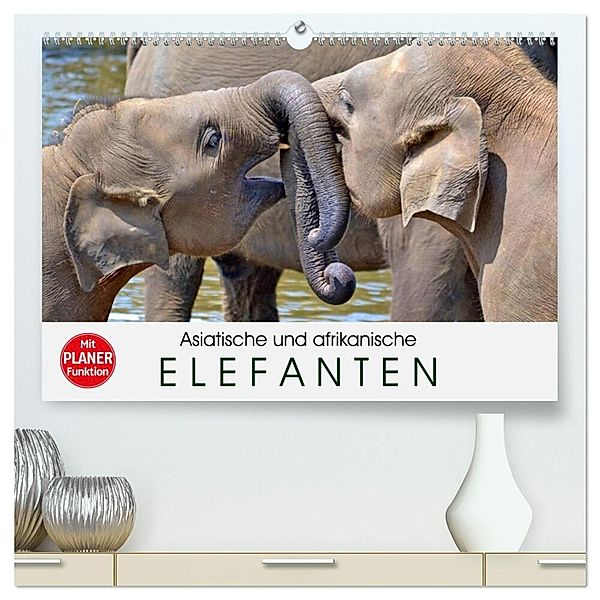 Asiatische und afrikanische Elefanten (hochwertiger Premium Wandkalender 2024 DIN A2 quer), Kunstdruck in Hochglanz, Elisabeth Stanzer