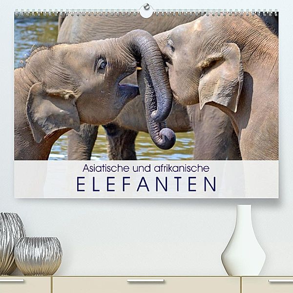 Asiatische und afrikanische Elefanten (Premium, hochwertiger DIN A2 Wandkalender 2023, Kunstdruck in Hochglanz), Elisabeth Stanzer