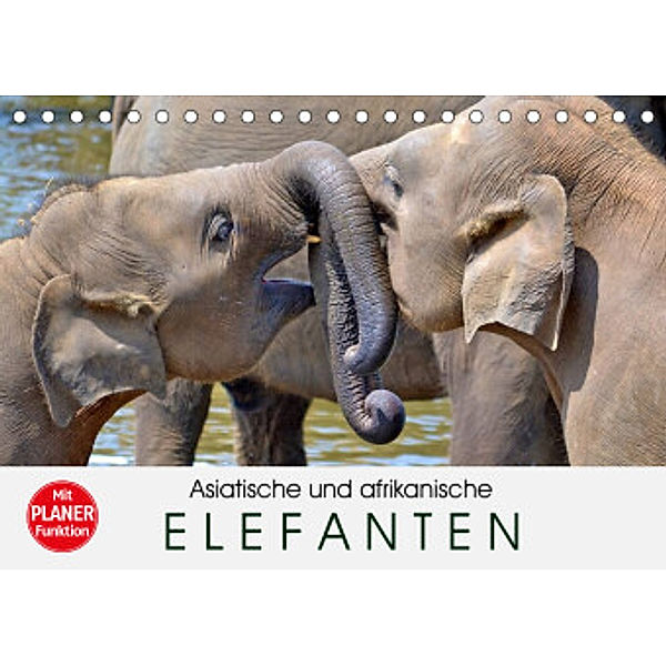 Asiatische und afrikanische Elefanten (Tischkalender 2022 DIN A5 quer), Elisabeth Stanzer