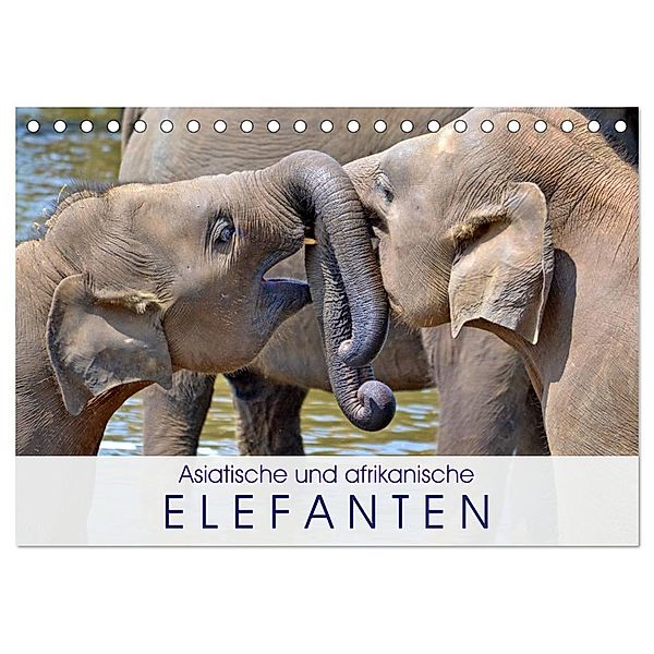 Asiatische und afrikanische Elefanten (Tischkalender 2024 DIN A5 quer), CALVENDO Monatskalender, Elisabeth Stanzer