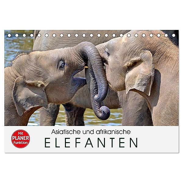Asiatische und afrikanische Elefanten (Tischkalender 2024 DIN A5 quer), CALVENDO Monatskalender, Elisabeth Stanzer